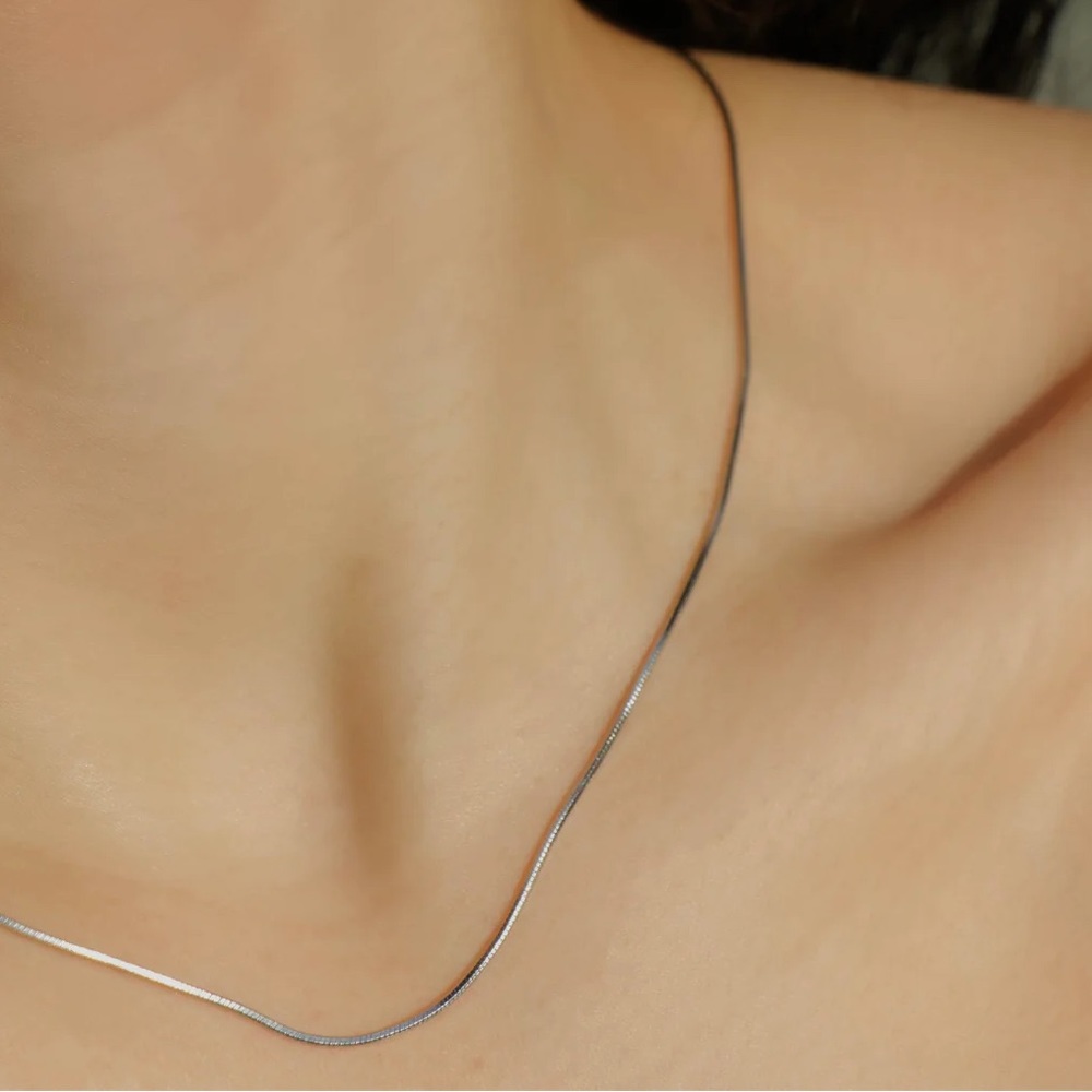 Danielle Jonas & Co. The Shay Snake Chain Necklace - Silver